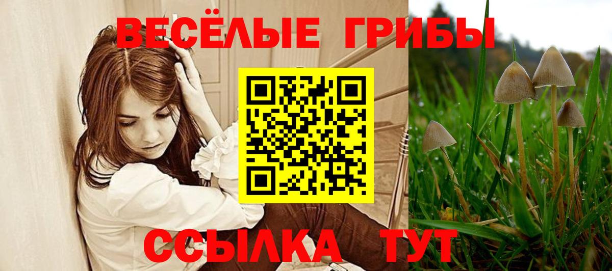 Галлюциногенные грибы GOLDEN TEACHER  Псилоцибиновые грибы MAGIC MUSHROOMS  Клинцы  Вход с VPN 
