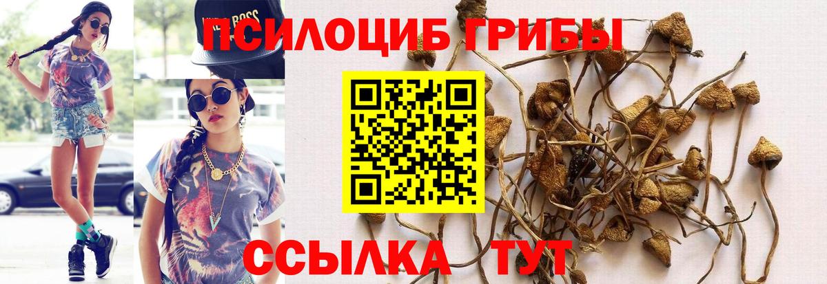 Псилоцибиновые грибы прущие грибы Клинцы