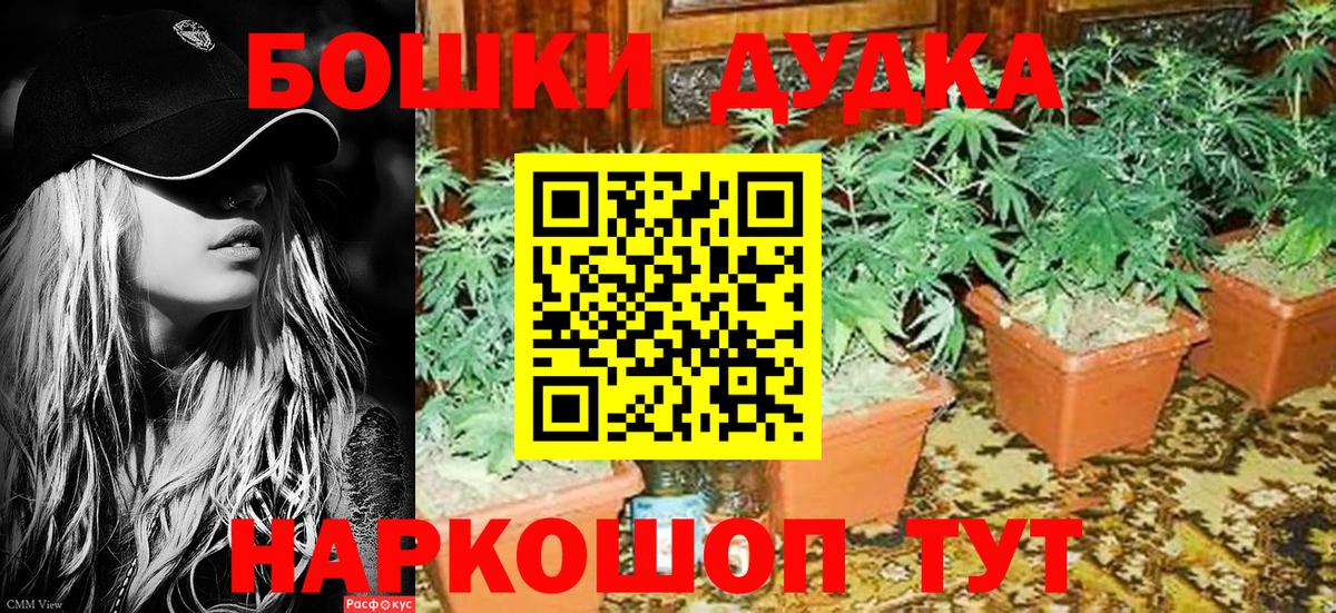Бошки Шишки Bruce Banner  Вход с VPN  Бошки Шишки Amnesia  Клинцы 